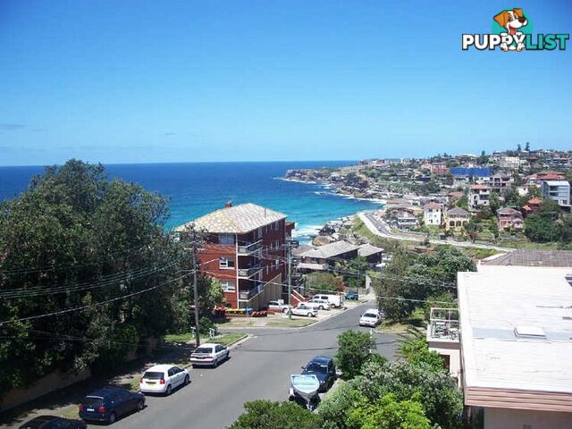 5/1 Silva Street TAMARAMA NSW 2026