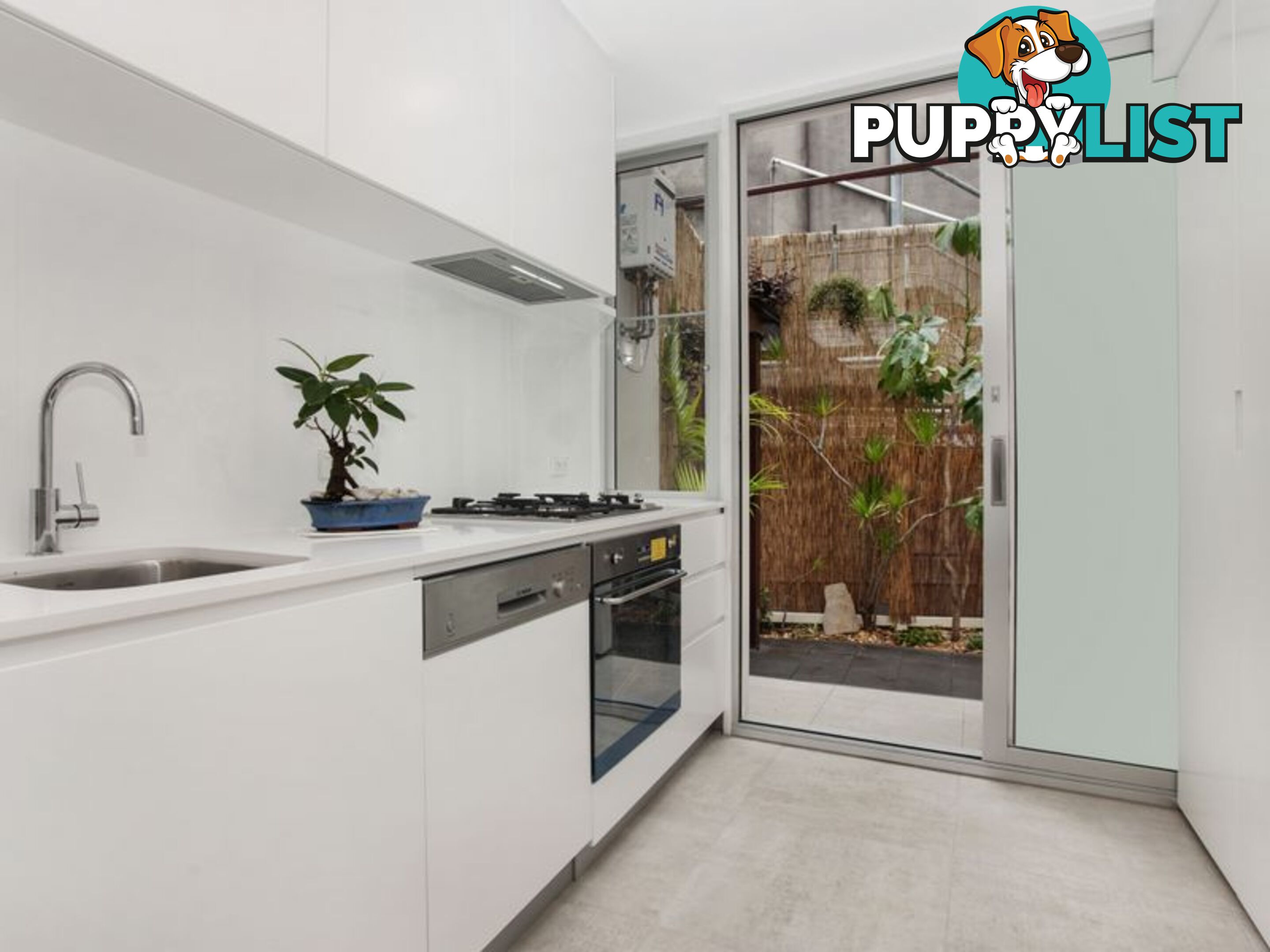 4 Rose Terrace PADDINGTON NSW 2021