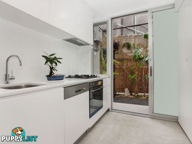 4 Rose Terrace PADDINGTON NSW 2021