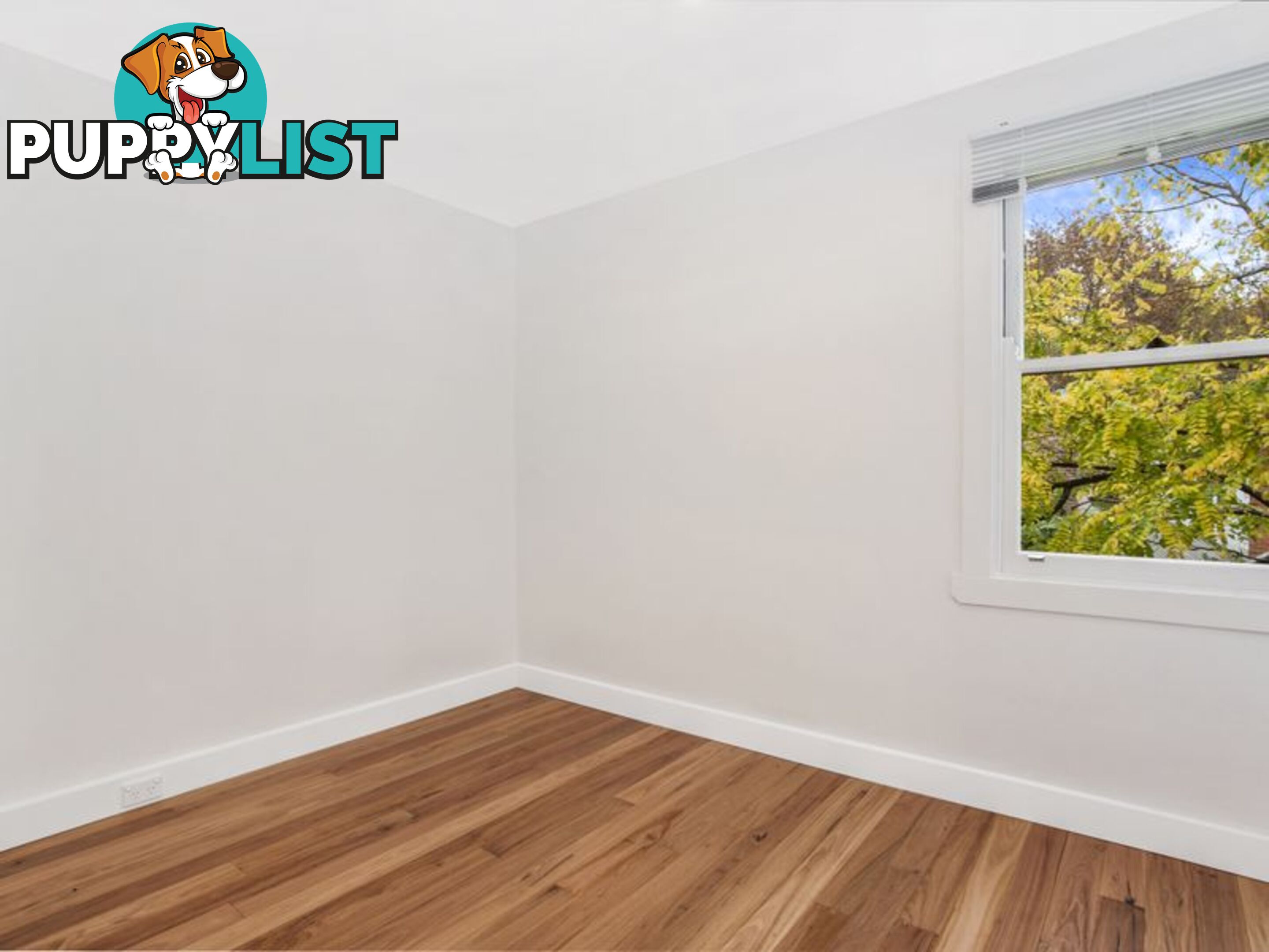 4 Rose Terrace PADDINGTON NSW 2021