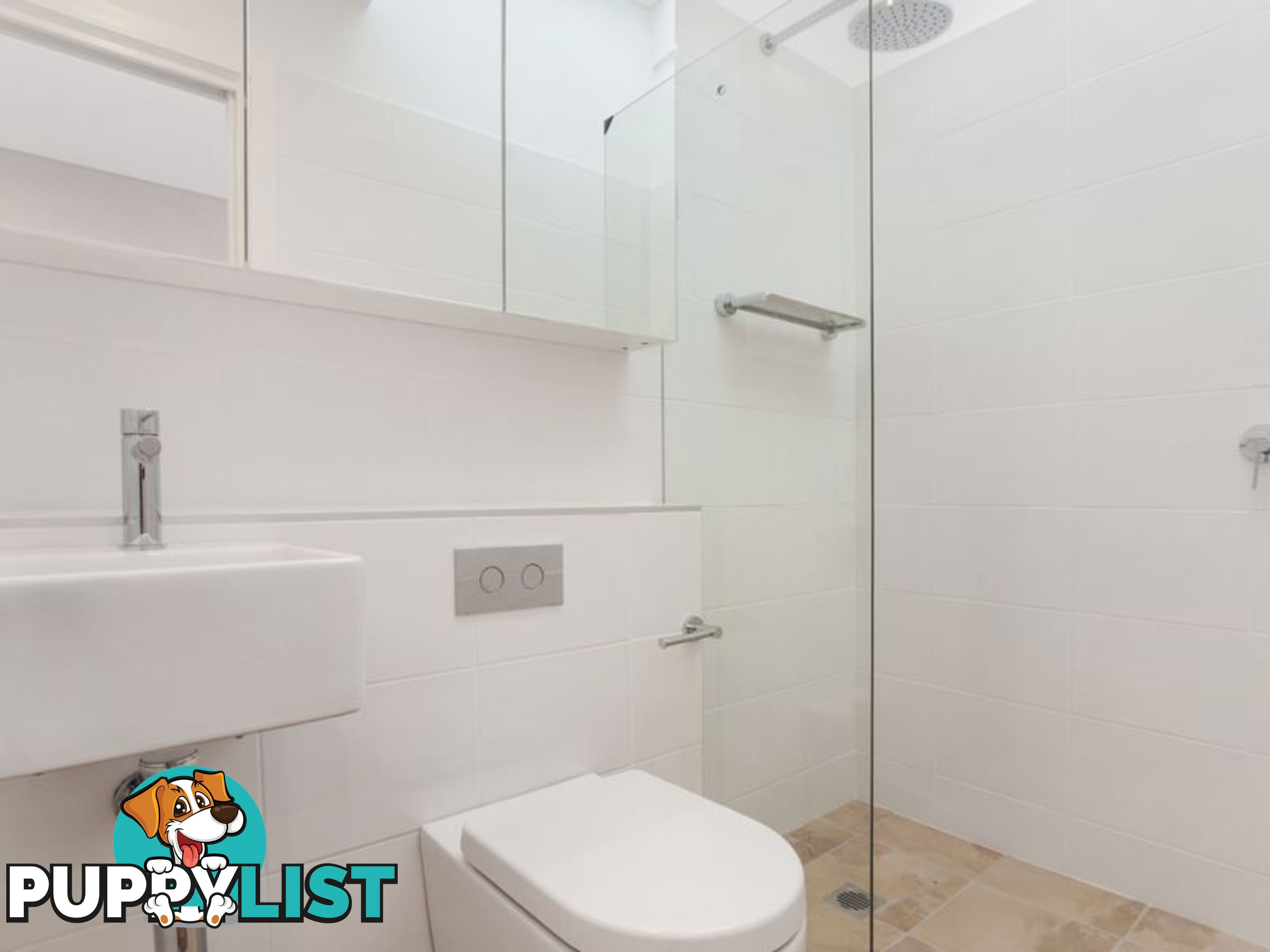 4 Rose Terrace PADDINGTON NSW 2021