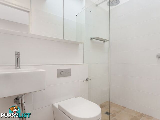 4 Rose Terrace PADDINGTON NSW 2021