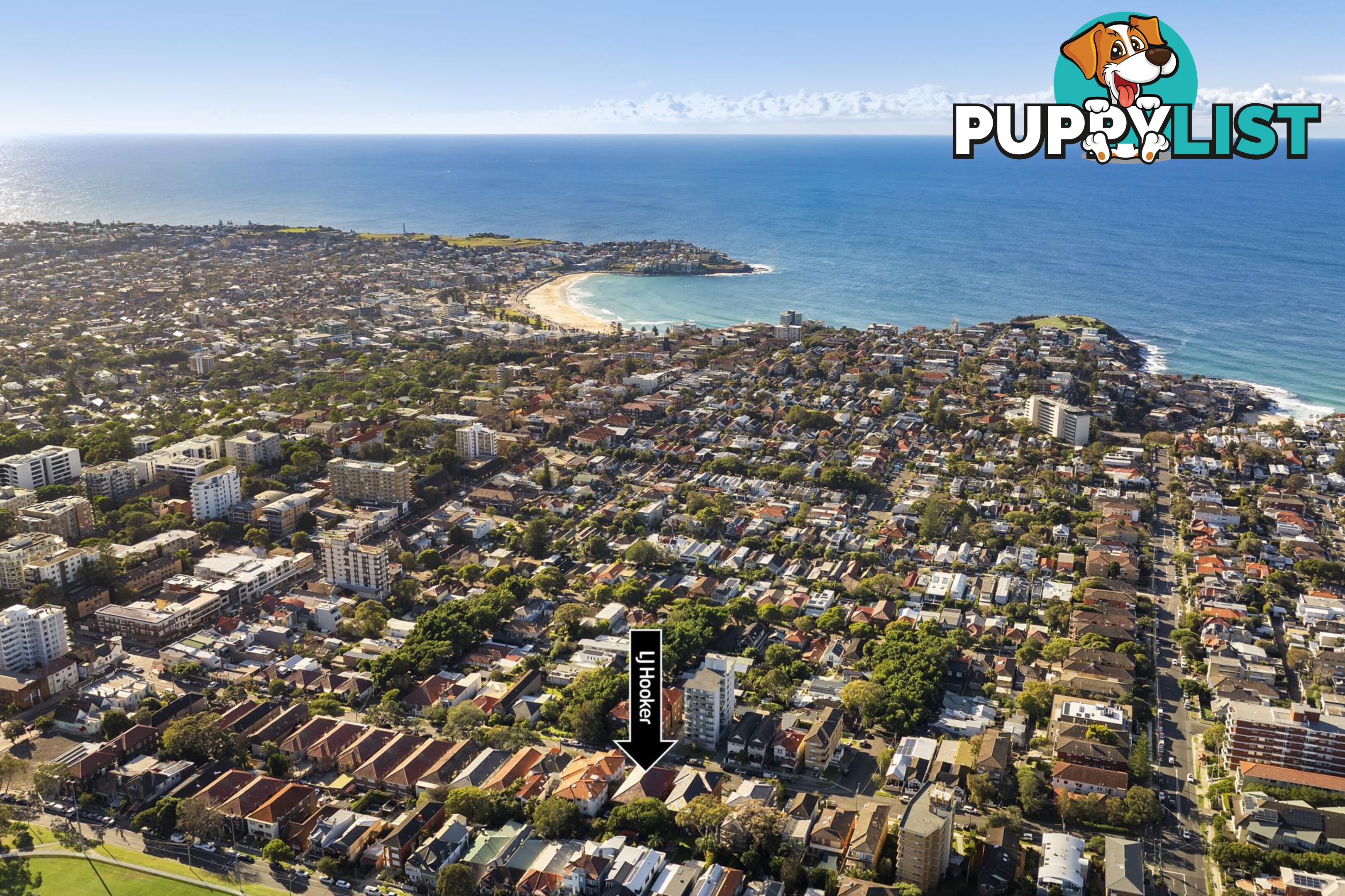 3/33 Bennett Street BONDI NSW 2026