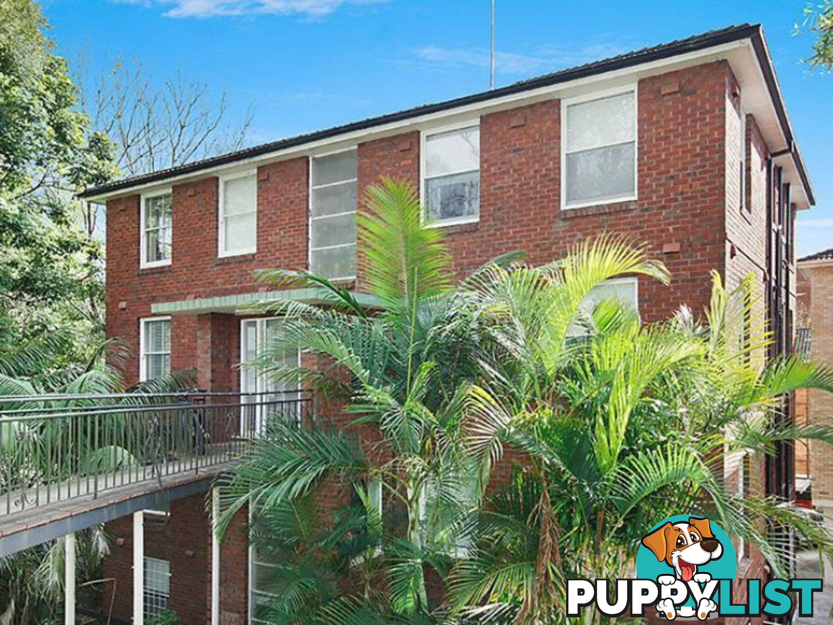 3/16 Murray Street BRONTE NSW 2024