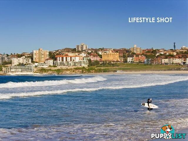 6/142 Warners Avenue BONDI BEACH NSW 2026