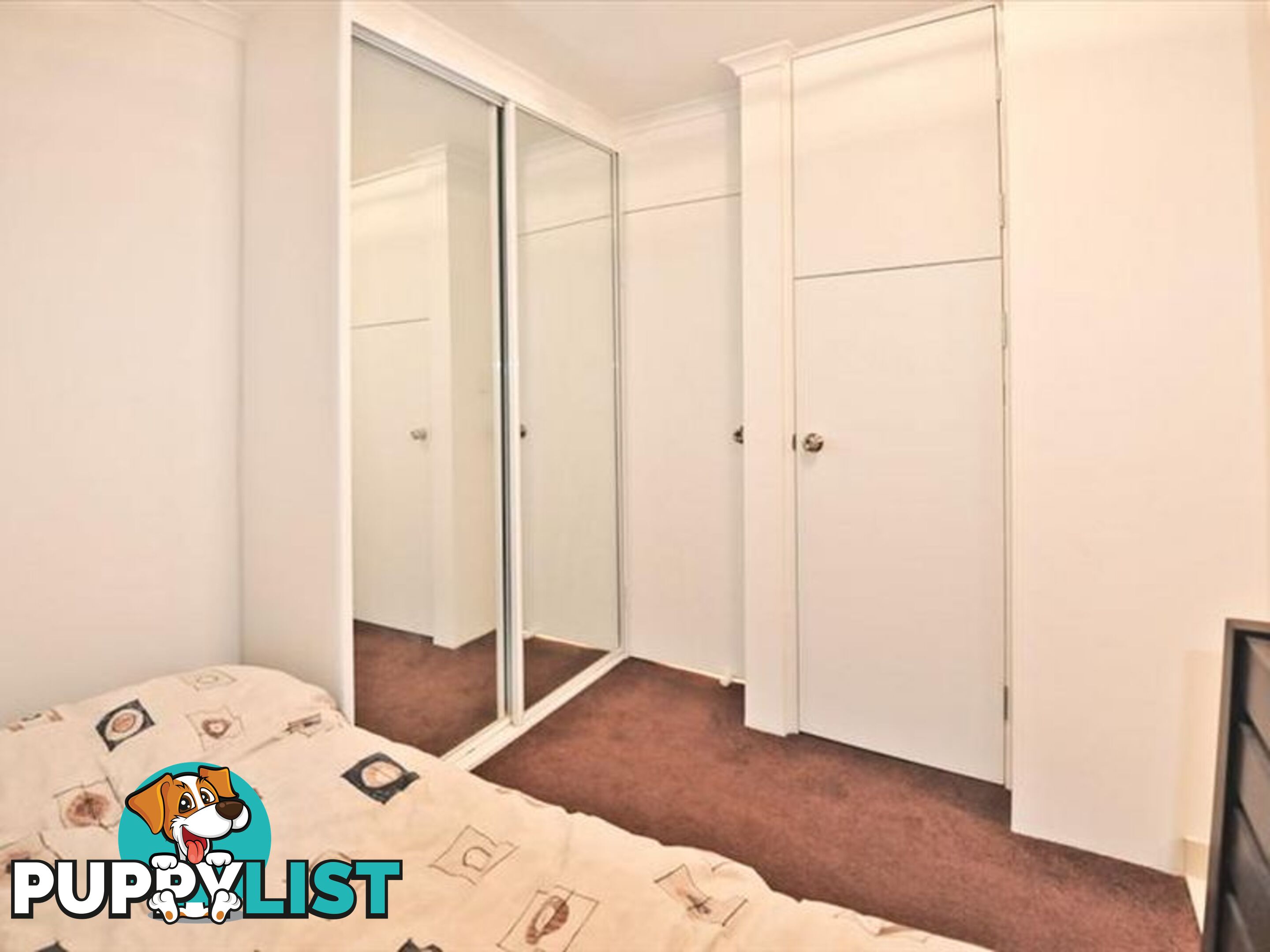 5/108 Ebley Street BONDI JUNCTION NSW 2022