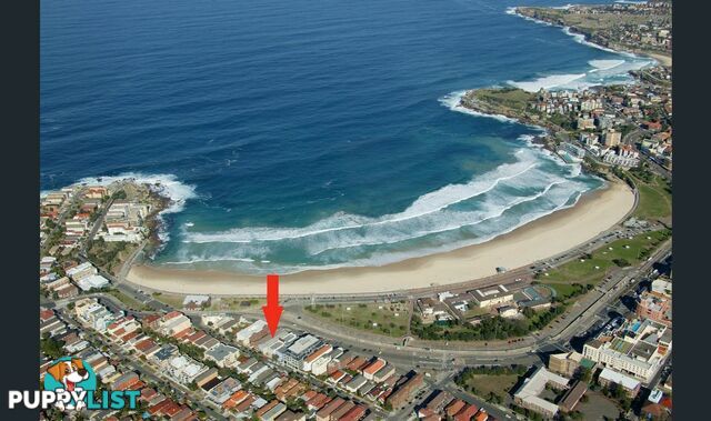 4/242 Campbell Parade BONDI BEACH NSW 2026