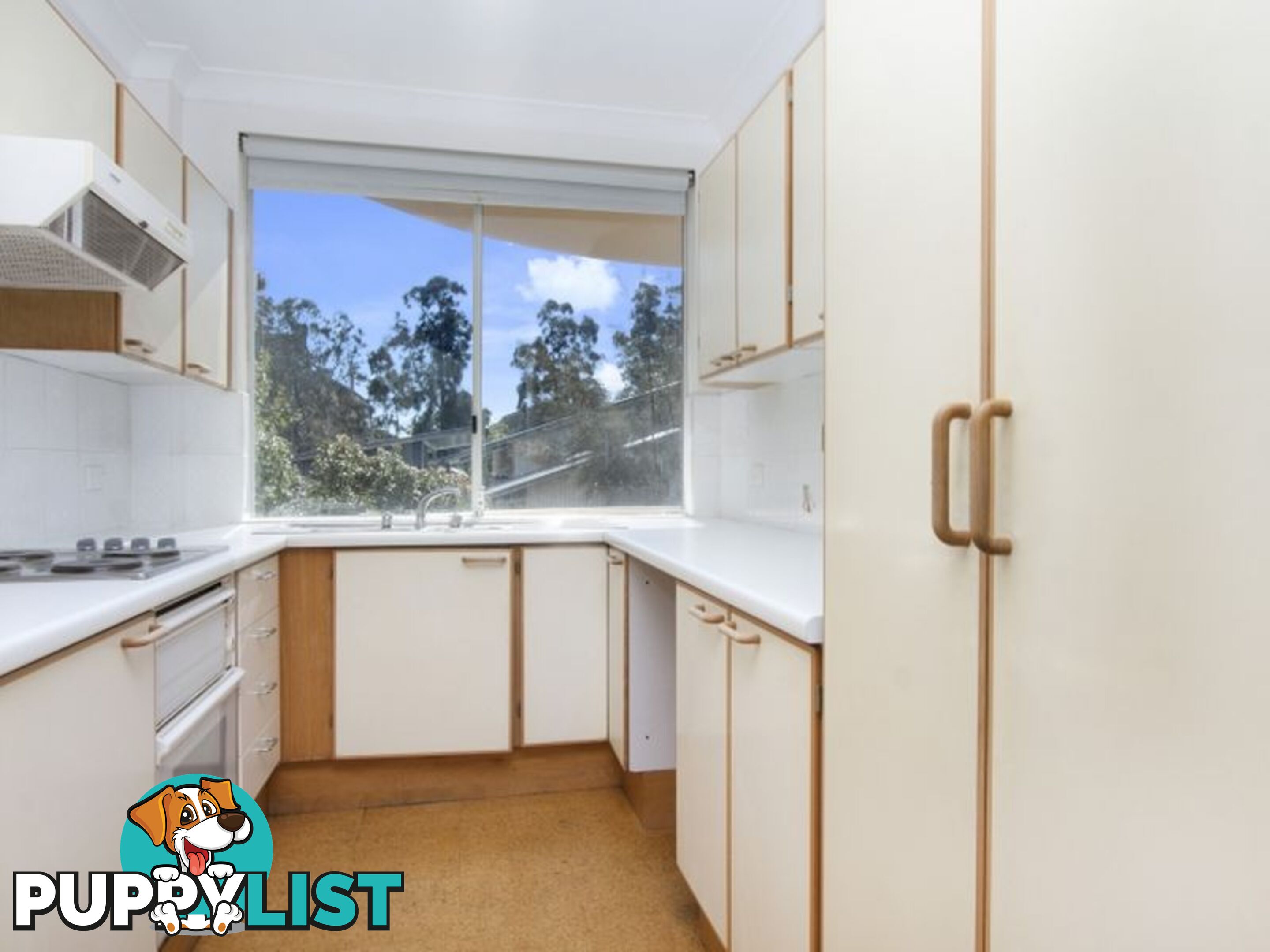 4/244 Bondi Road BONDI NSW 2026