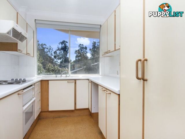 4/244 Bondi Road BONDI NSW 2026