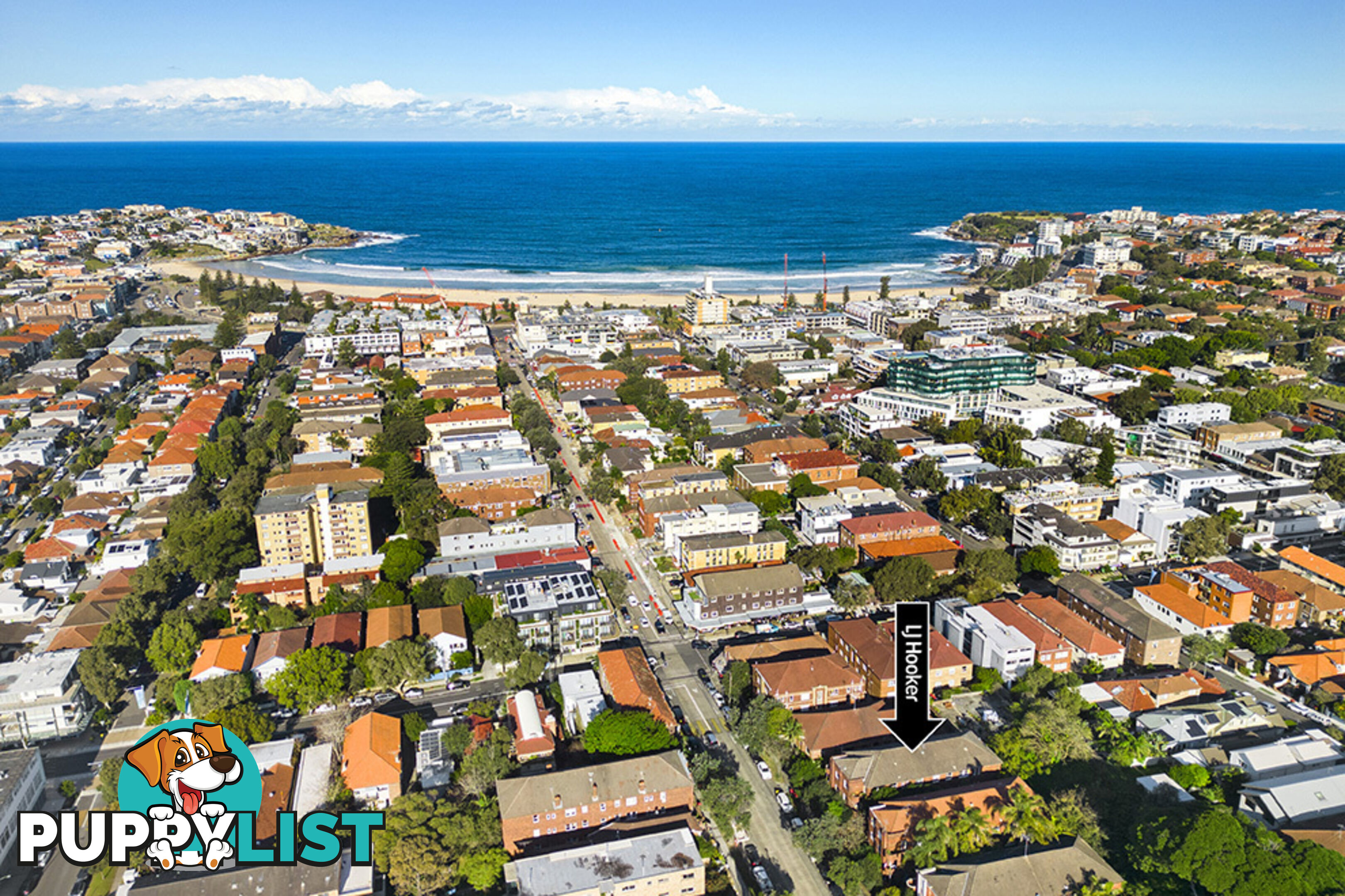 11/71 Curlewis Street BONDI BEACH NSW 2026