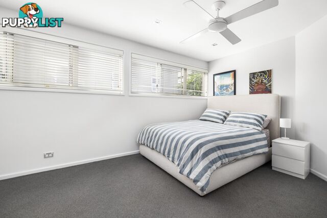 41 Spencer Street ROSE BAY NSW 2029