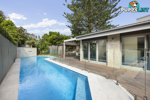 41 Spencer Street ROSE BAY NSW 2029