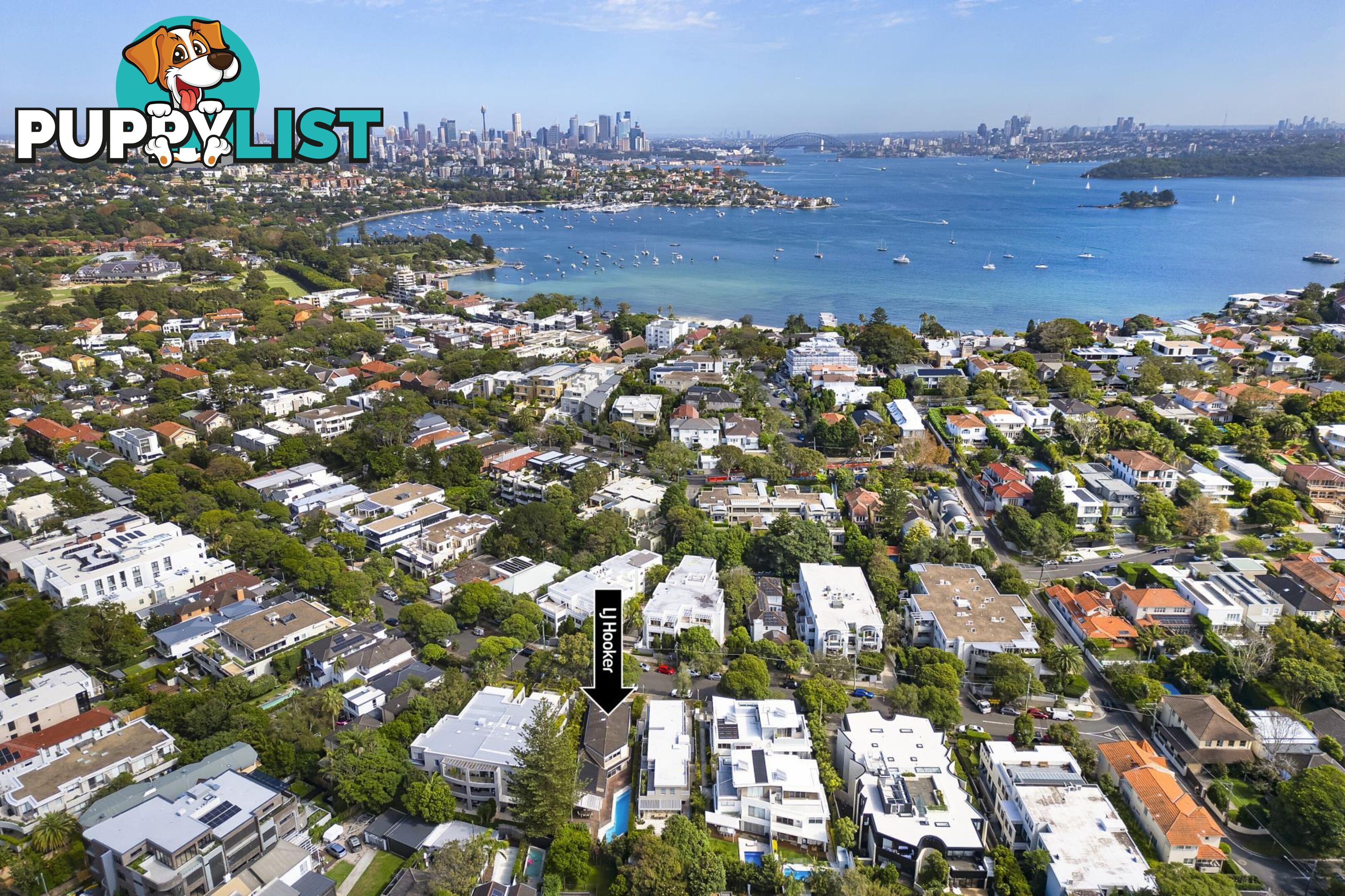 41 Spencer Street ROSE BAY NSW 2029