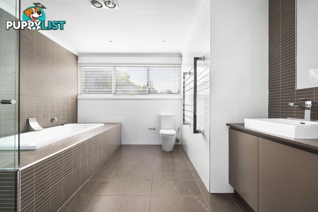 41 Spencer Street ROSE BAY NSW 2029