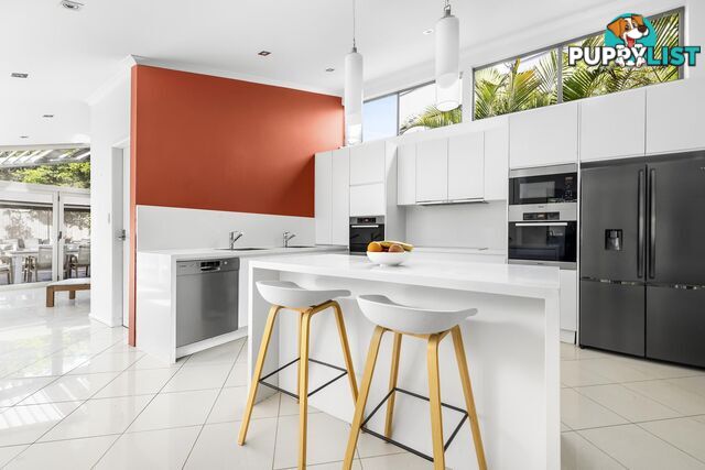 41 Spencer Street ROSE BAY NSW 2029