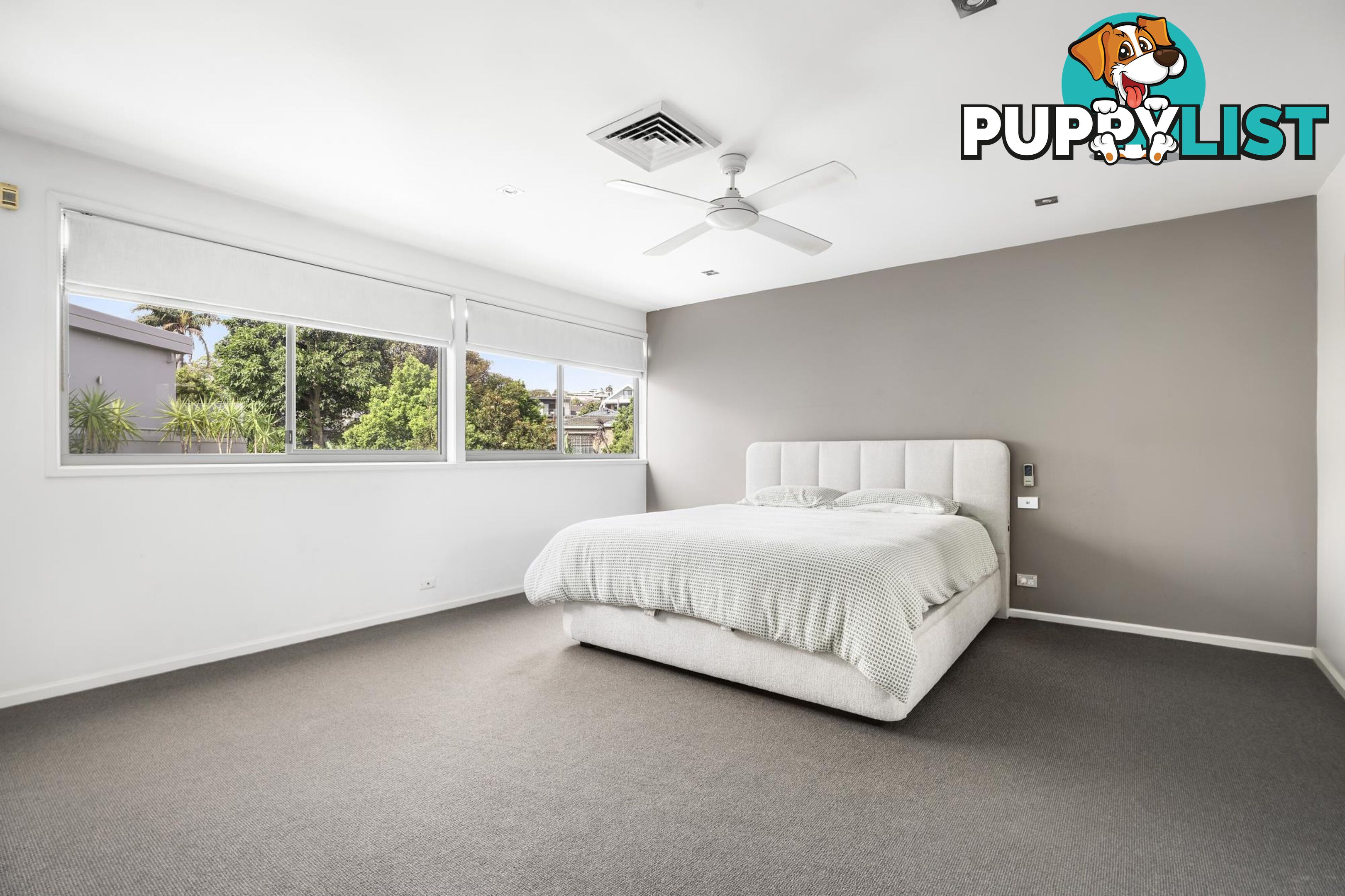 41 Spencer Street ROSE BAY NSW 2029