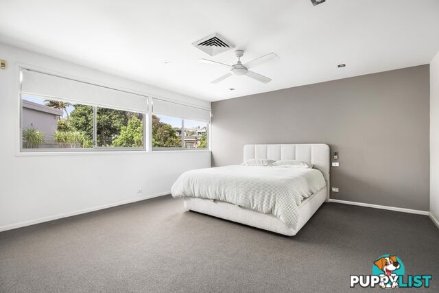 41 Spencer Street ROSE BAY NSW 2029
