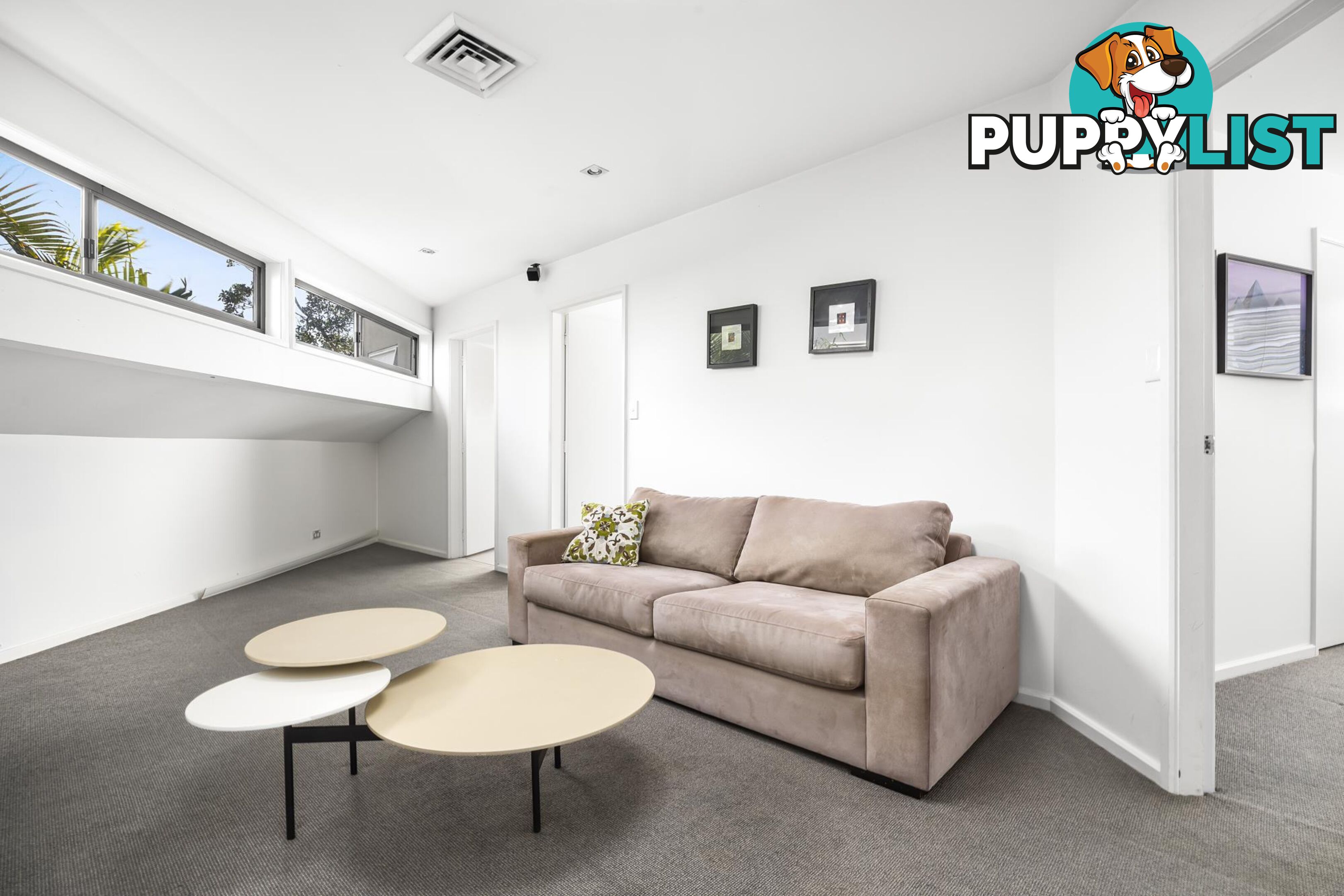 41 Spencer Street ROSE BAY NSW 2029
