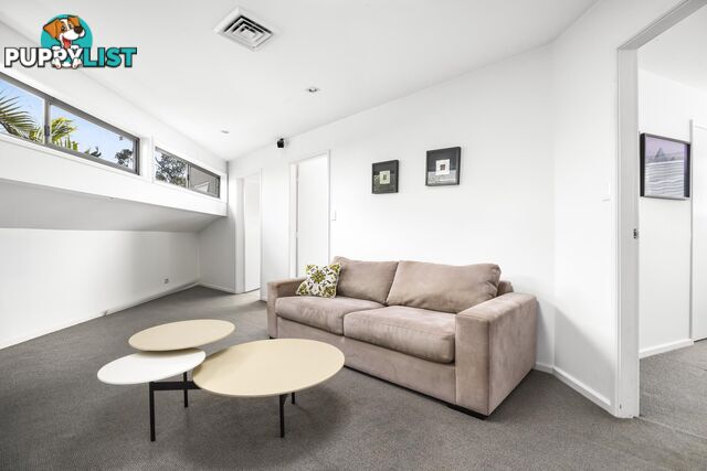 41 Spencer Street ROSE BAY NSW 2029