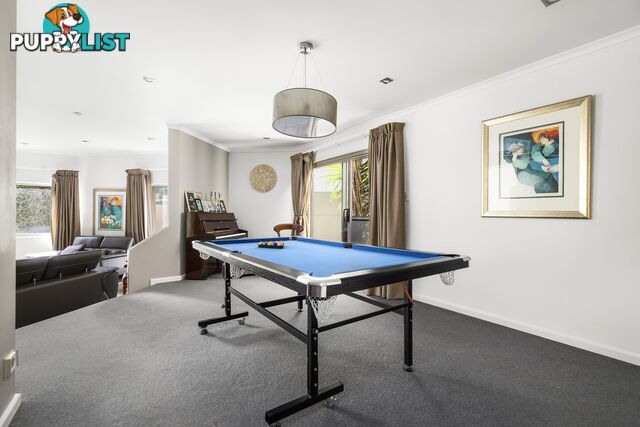 41 Spencer Street ROSE BAY NSW 2029