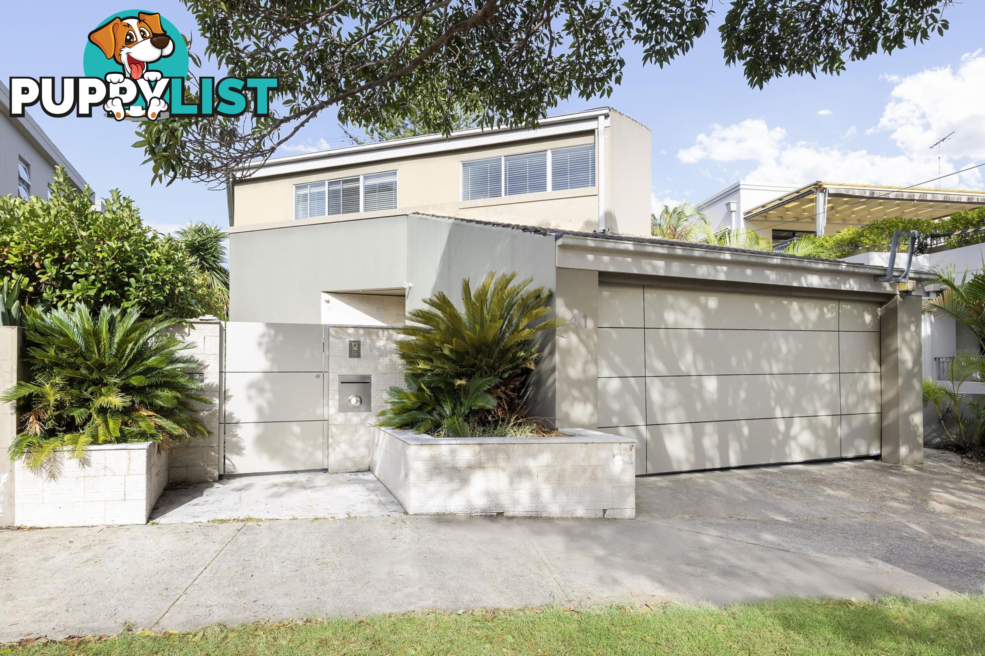 41 Spencer Street ROSE BAY NSW 2029