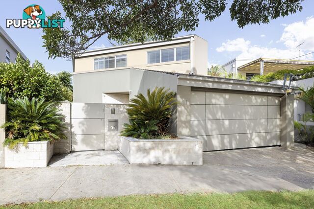 41 Spencer Street ROSE BAY NSW 2029