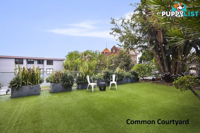 11/332 Bondi Road BONDI NSW 2026