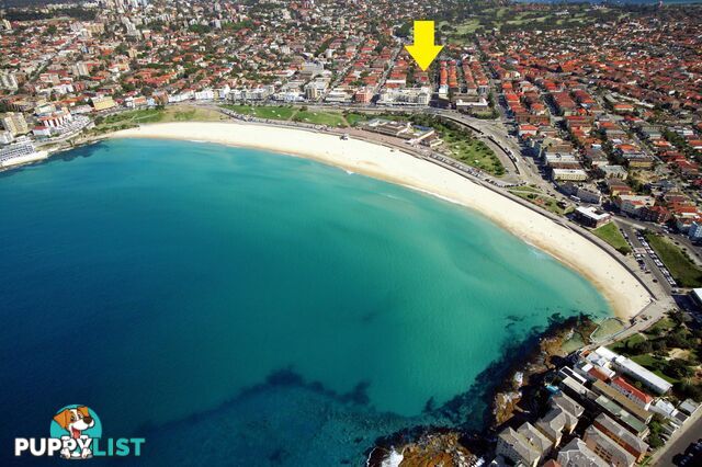 8/34 Beach Road BONDI BEACH NSW 2026