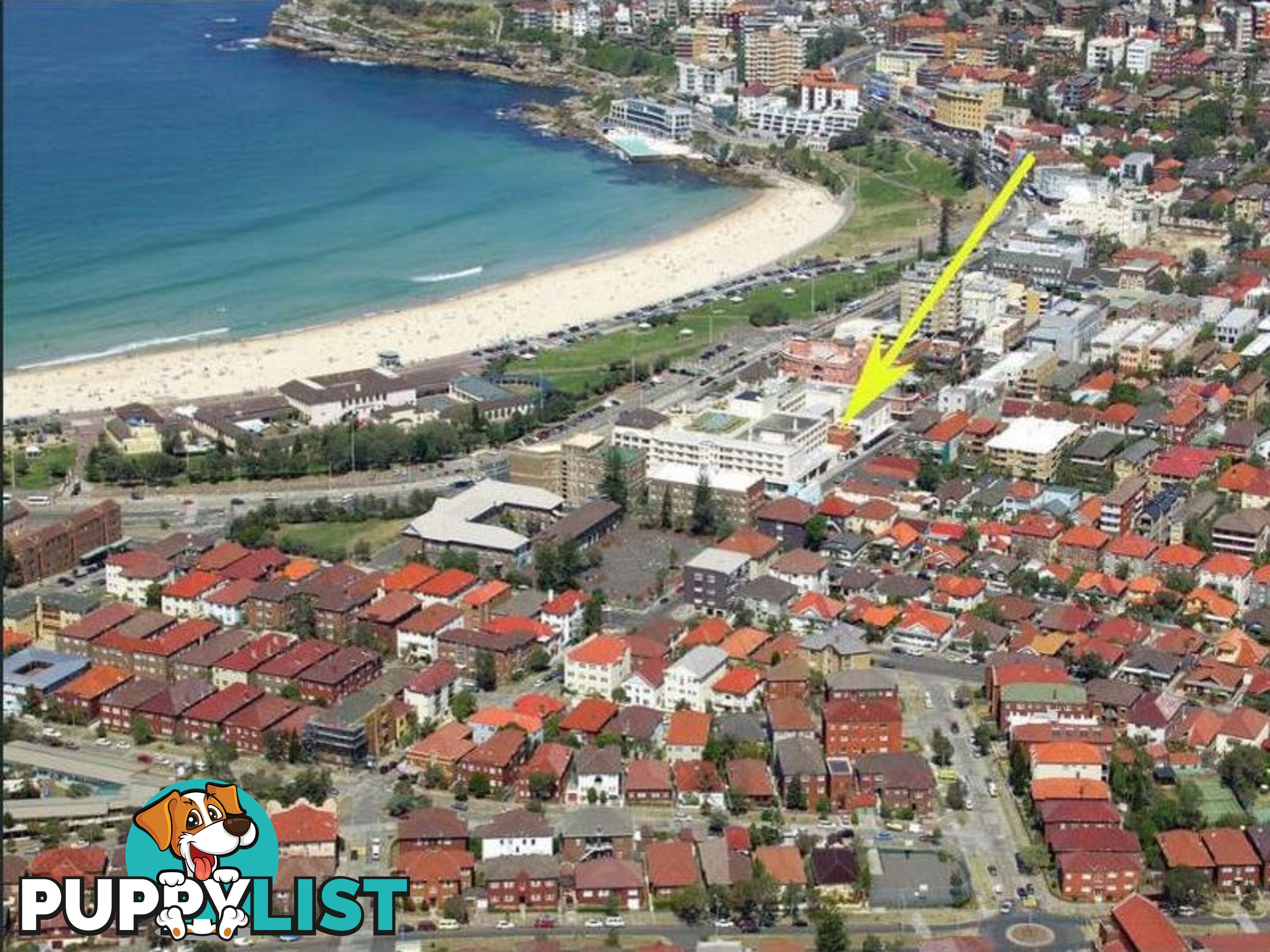 11/68 Gould Street BONDI BEACH NSW 2026