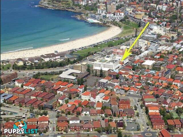 11/68 Gould Street BONDI BEACH NSW 2026