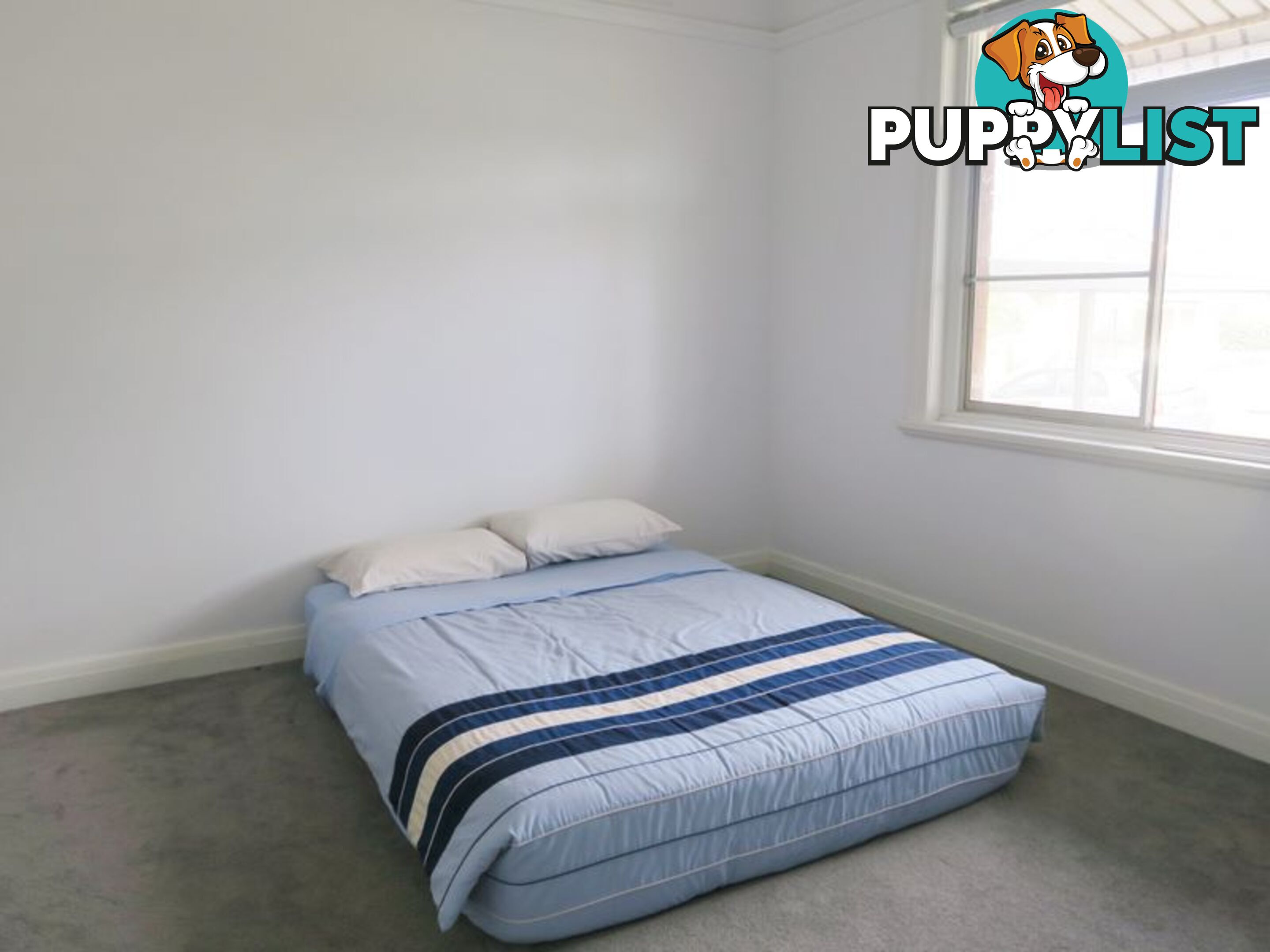 88 Ocean St KOGARAH NSW 2217