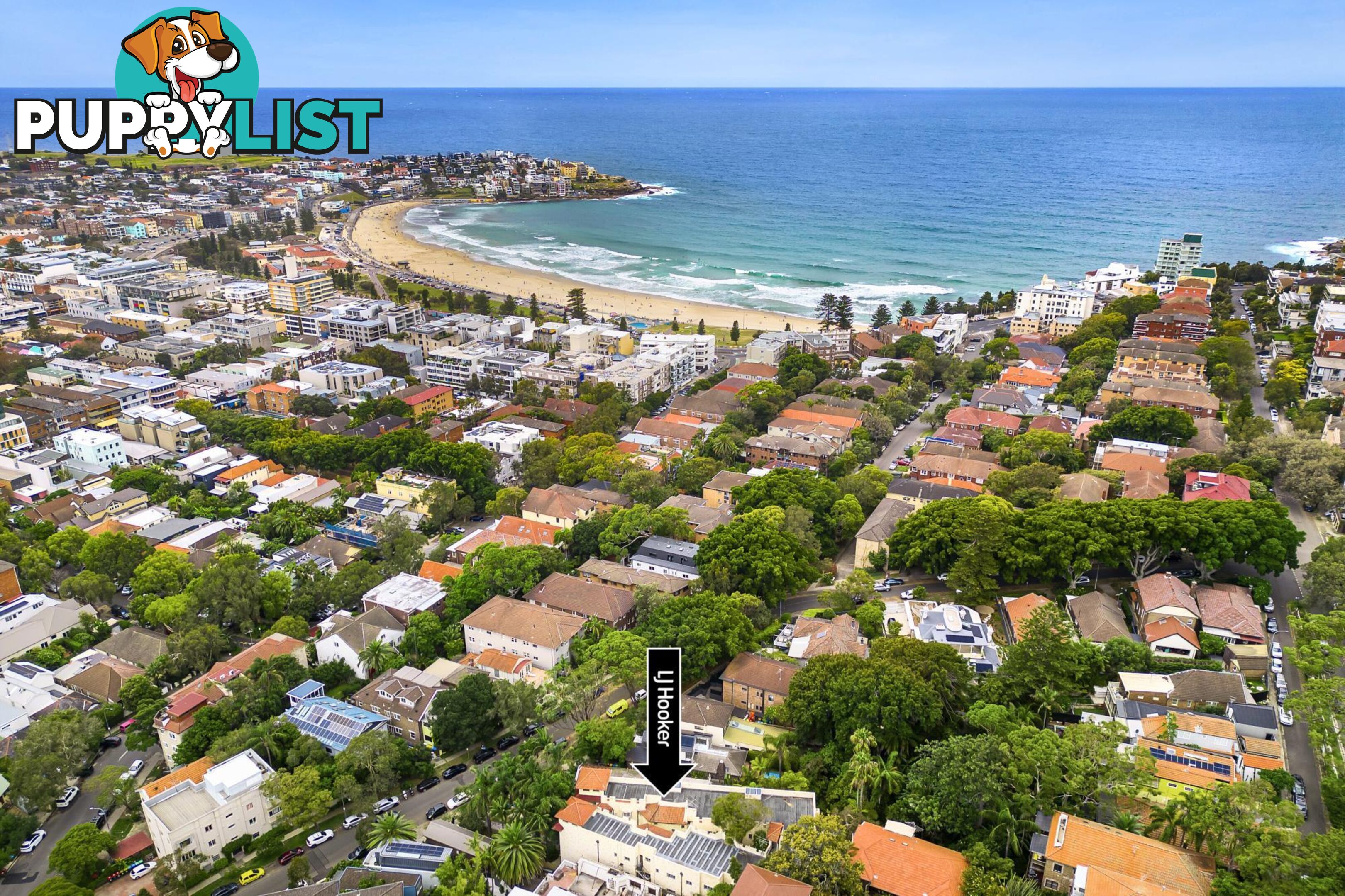 17/64 Sir Thomas Mitchell Road BONDI BEACH NSW 2026