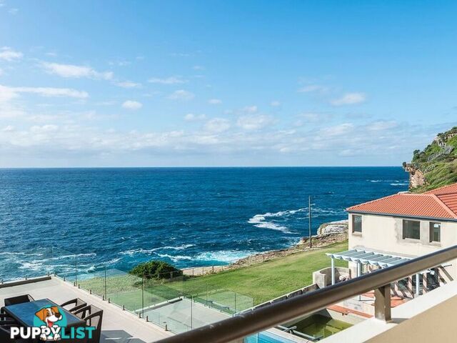 1/67 Oceanview Avenue VAUCLUSE NSW 2030