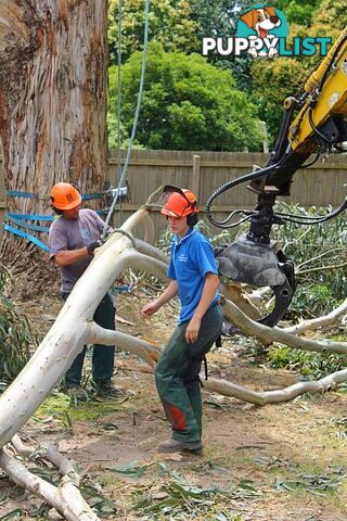 Log Grapples - for Excavators