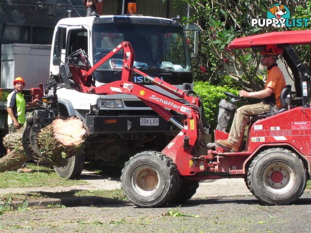 Schaffer Loaders - Mini Digger 2345