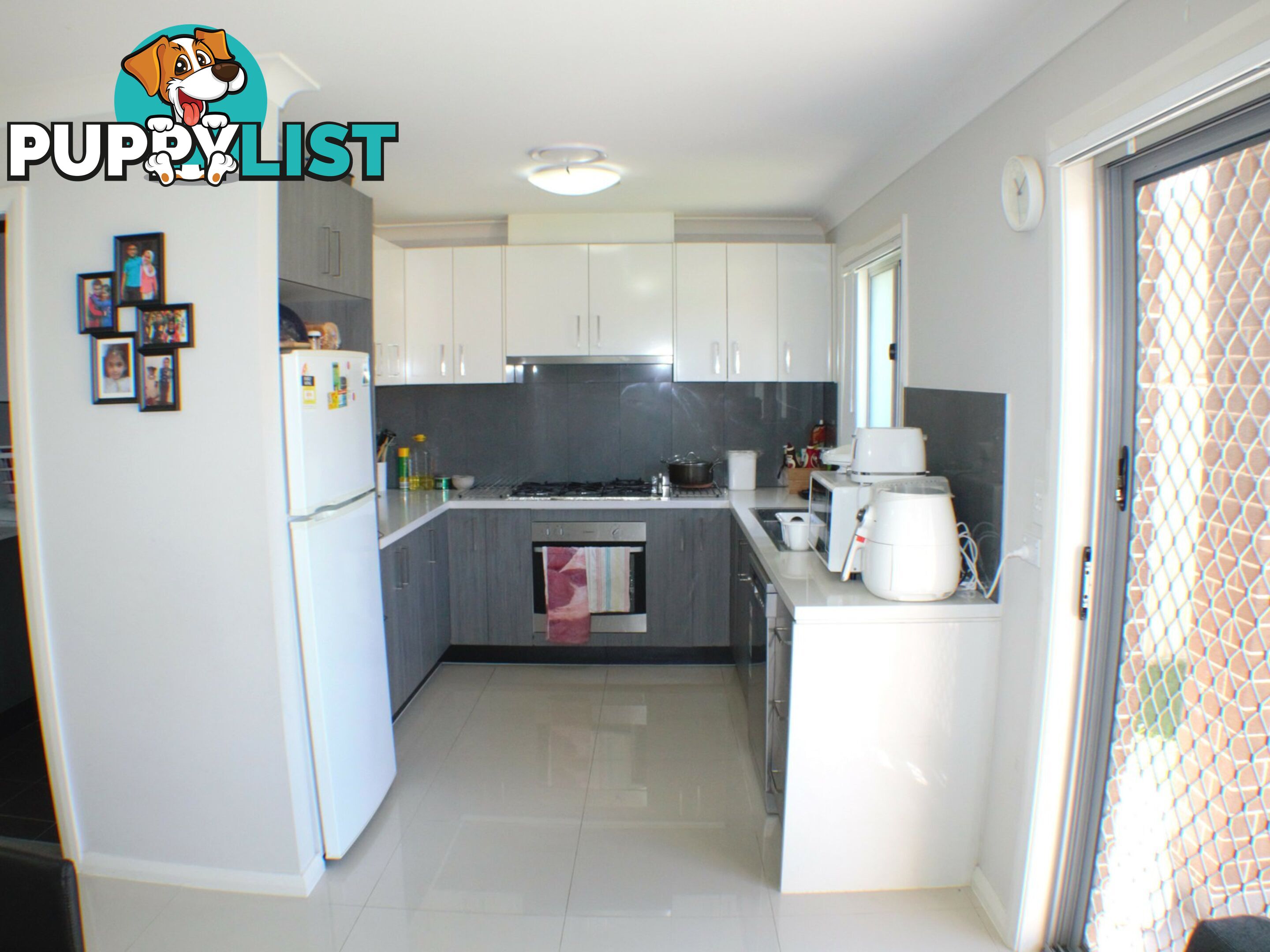 11 Catnip Glade ROOTY HILL NSW 2766