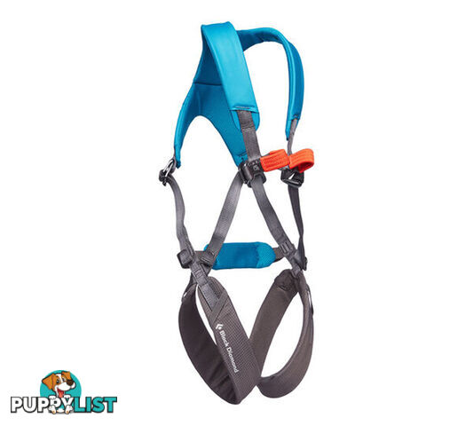 Black Diamond Momentum Kids Climbing Harness - Azul - BD6511094004ALL1