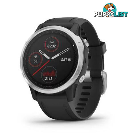 Garmin Fenix 6S Multisport Watch - Silver with Black Band - 10-02159-01