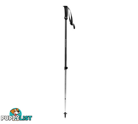 Black Diamond Trail Explorer 2 Trekking Poles - Anthracite - BD1122310001ALL1