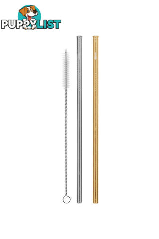 Cheeki 2 Pack Straight Stainless Steel Straws - Silver, Gold & Cleaning Brush - SS2PSG1