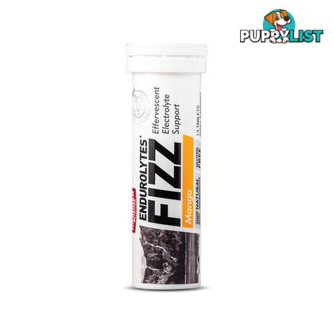 Hammer Nutrition Endurolytes Fizz Electrolyte Tablets - Mango - FIZZ-MANGO