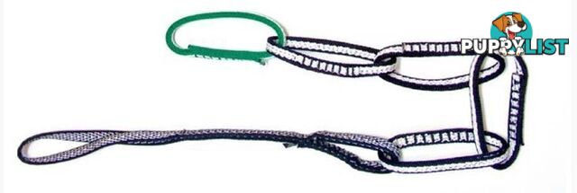 Metolius PASS22 Personal Anchor System -Black/Green - MT-PASS22BG