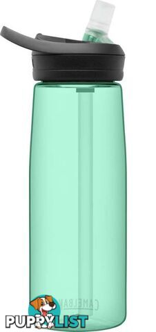 CamelBak Eddy+ .75L Water Bottle - Coastal - CB2465302075