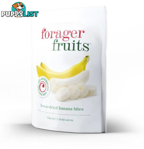 Forager Fruits - Freeze Dried Banana Bites - FFBAN15