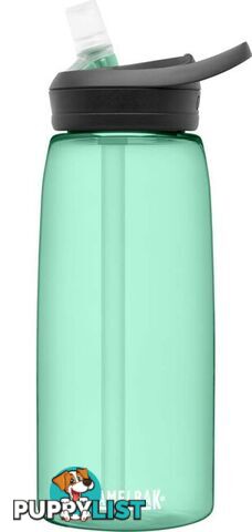 Camelbak Eddy+ Water Bottle - 1L - Coastal R - CB2464301001