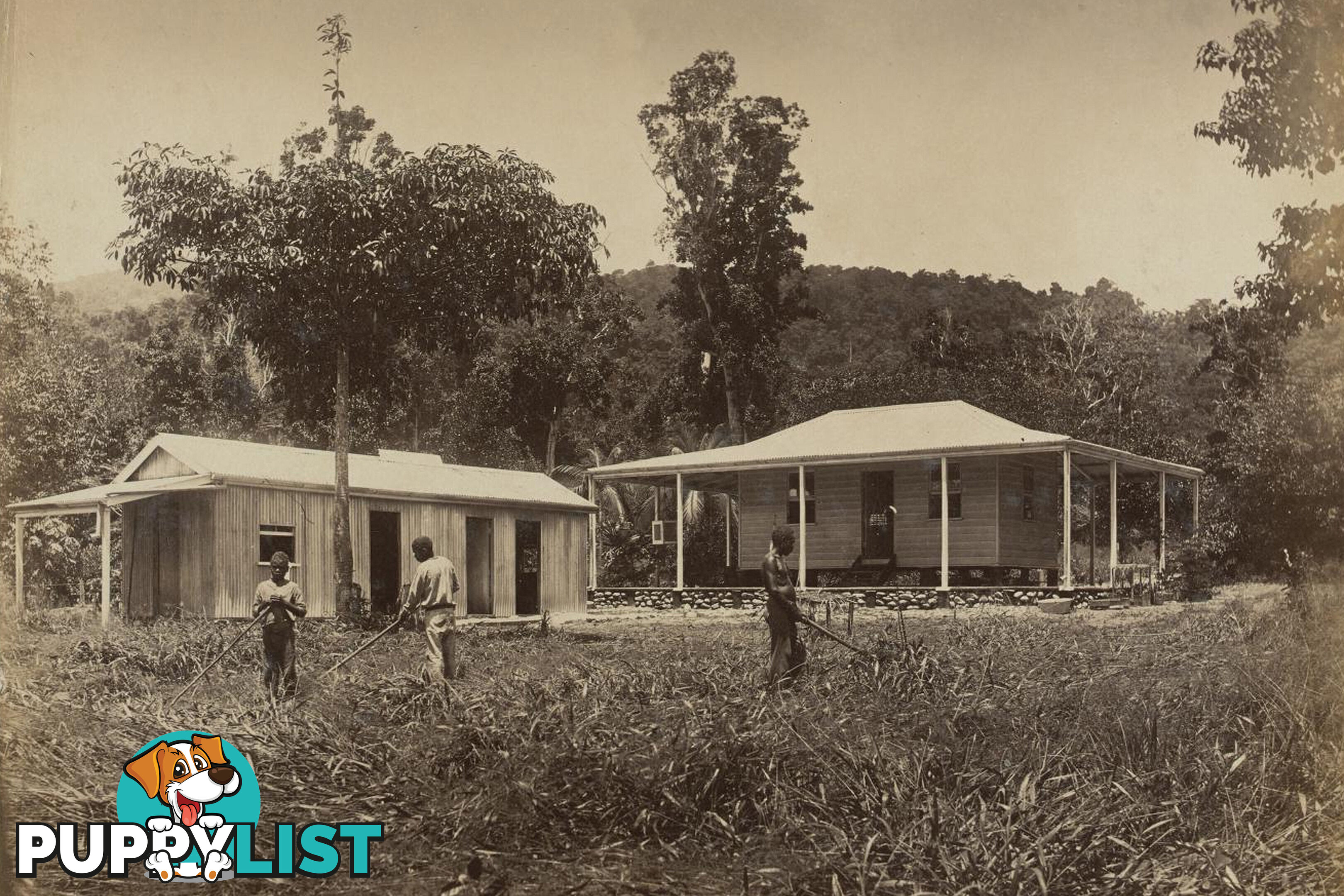 BABINDA QLD 4861