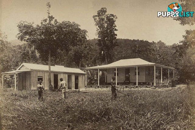 BABINDA QLD 4861