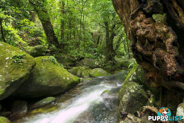 BABINDA QLD 4861