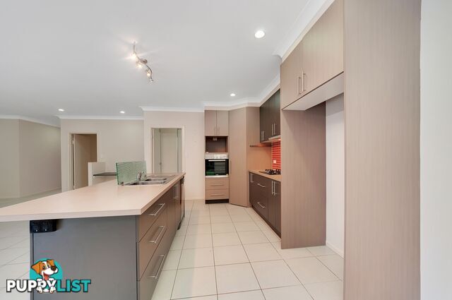 16 Lockyer Crescent BENTLEY PARK QLD 4869