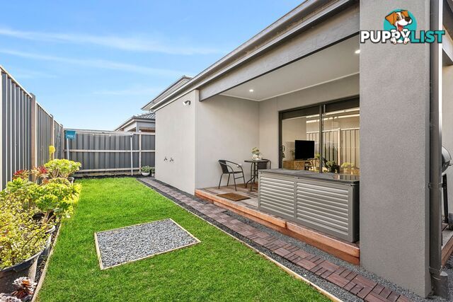 45 Viola Circuit CLYDE VIC 3978